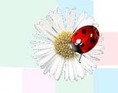 Marieh�ne