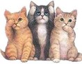 De tre katte
