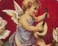 Amoriner