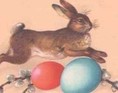 Hare og æg