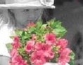 Blomster