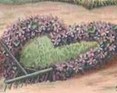 Blomster
