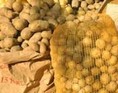 Kartoffelh�st