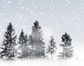 Så er der sne