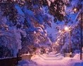 Vinter eventyr