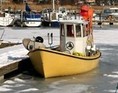 Vinter i havn