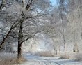 Den smukke vinter